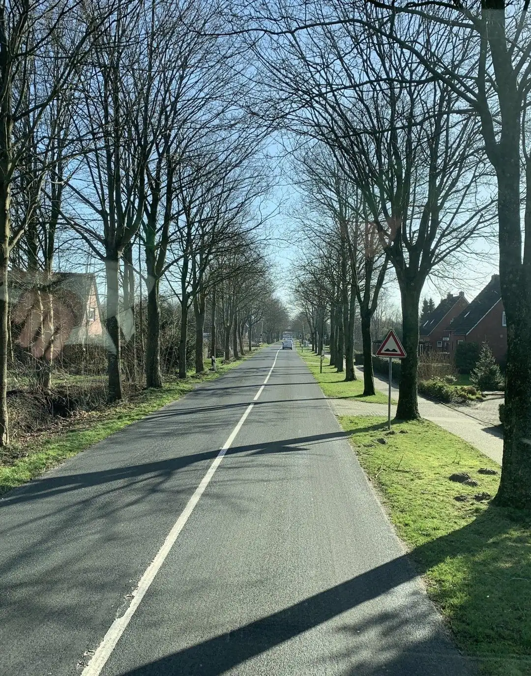 Von Bäumen gesäumte Landstraße im Emsland – Blick geradeaus in die Ferne